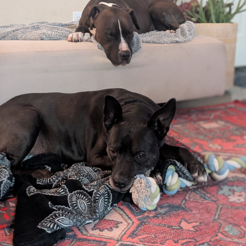 Zeus, additional photo