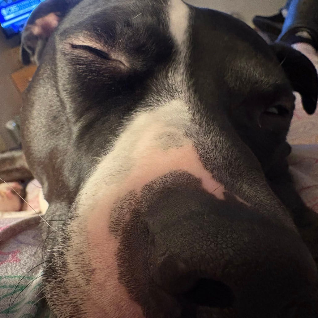 Photo of General Tso 84