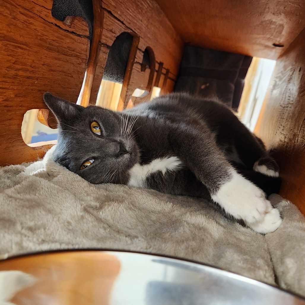 Ted, photo 3