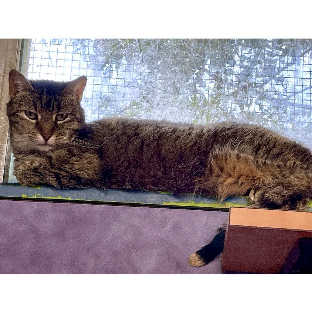 Emma Peal — thumbnail 10