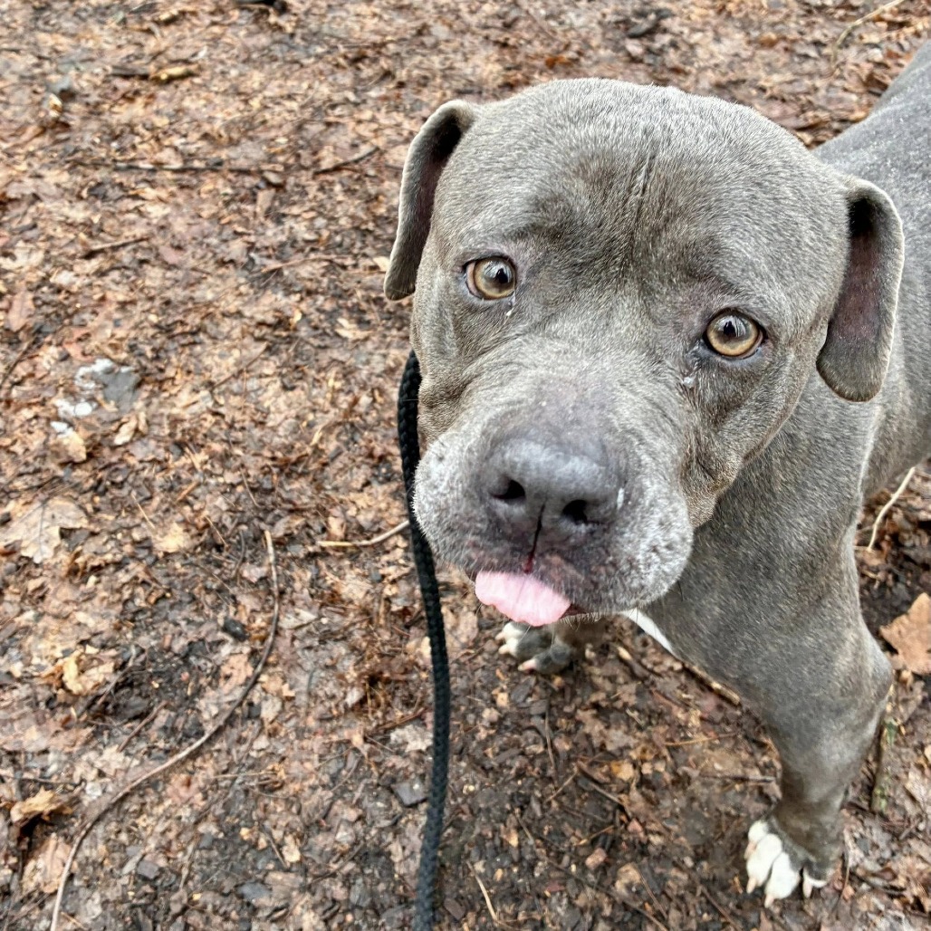 Sandy — thumbnail 2