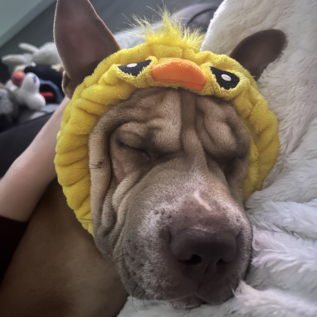 GUS, photo 12