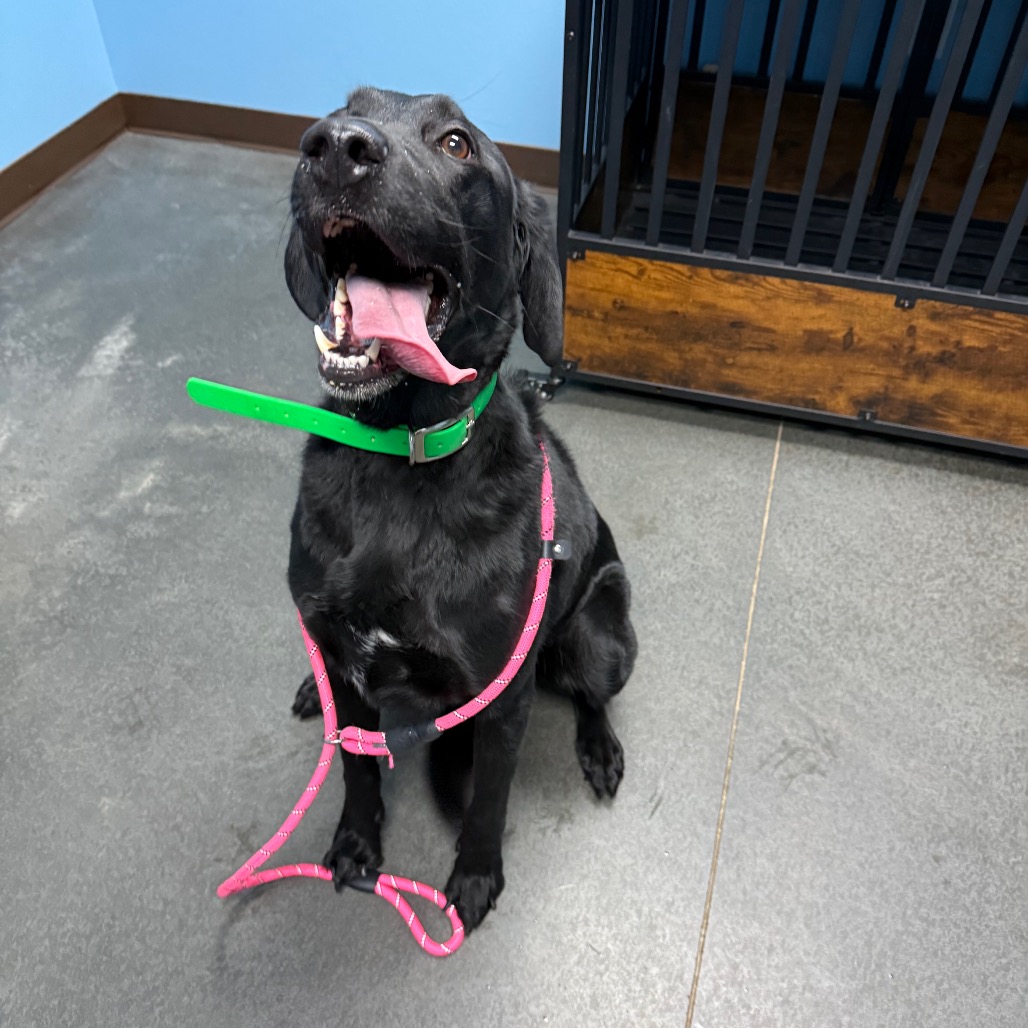 Miles — thumbnail 3