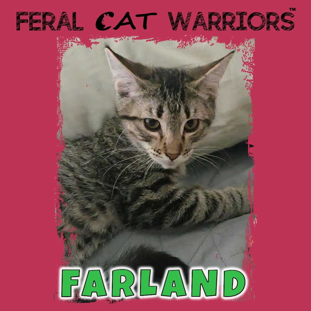 Farland