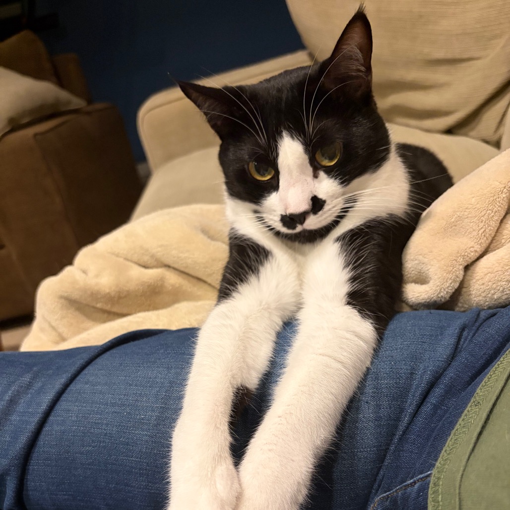 Charlie, photo 13