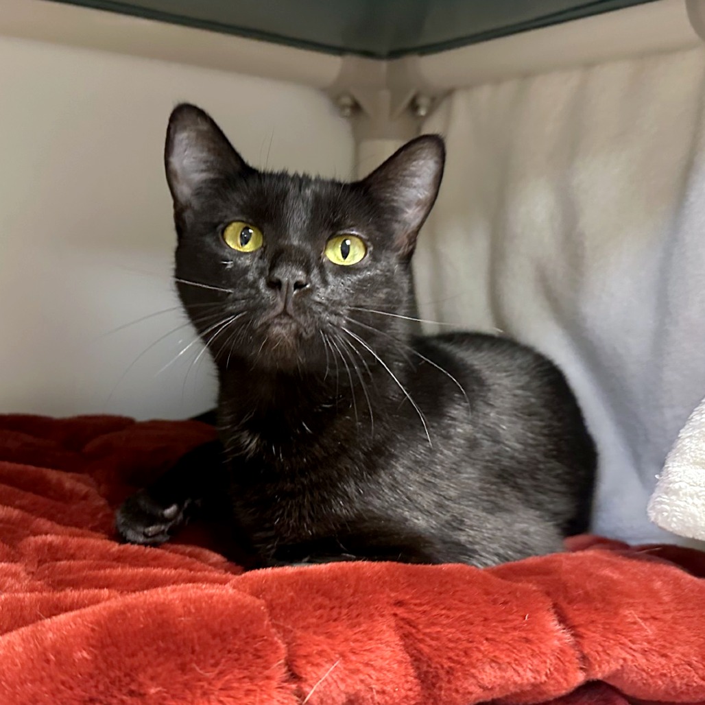 Sabrina — thumbnail 2