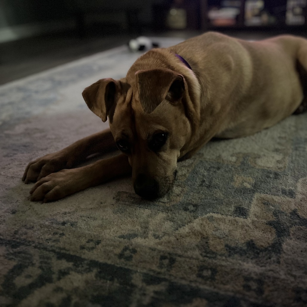 Lilly, photo 36