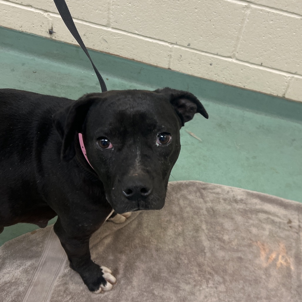 Rain — thumbnail 2