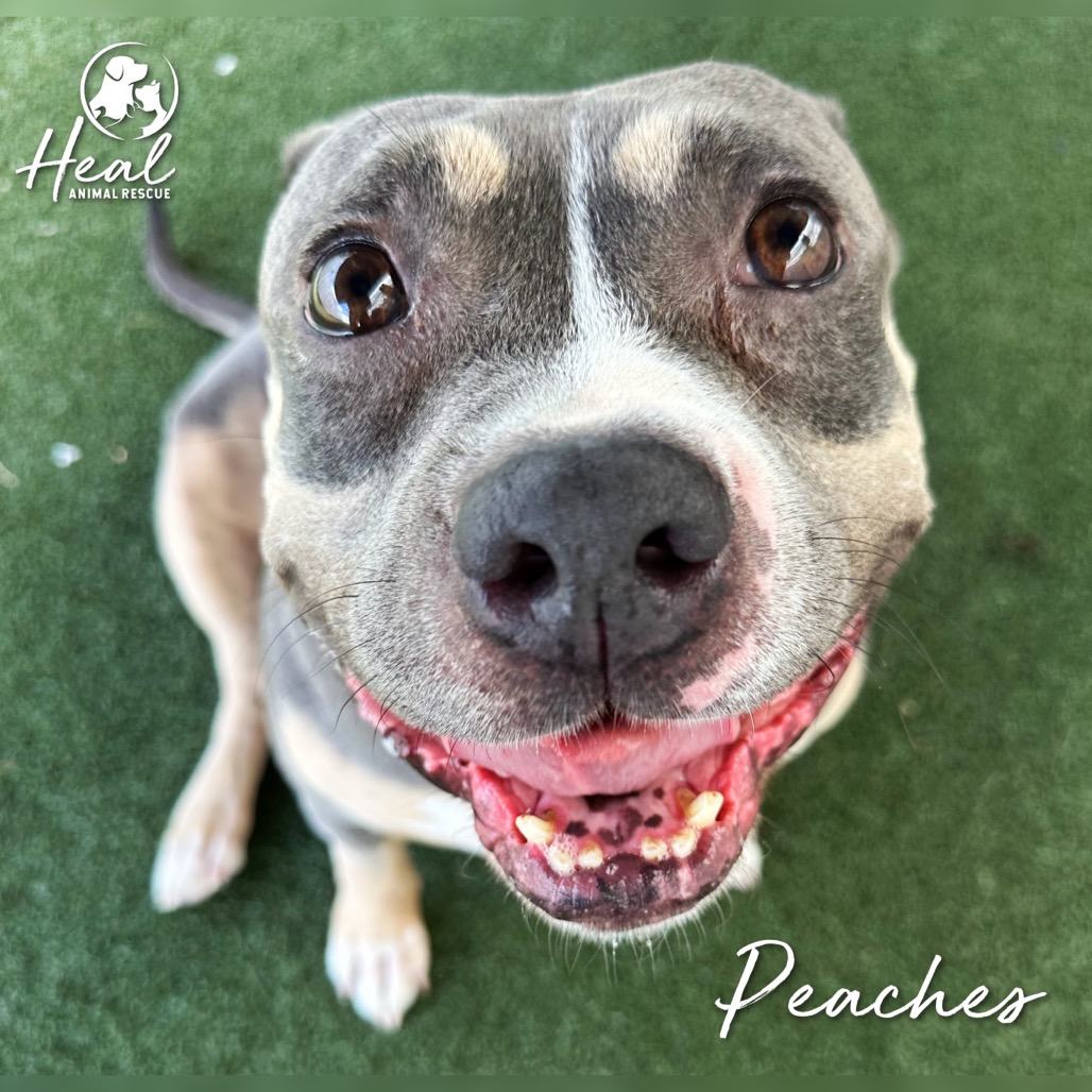 Peaches, photo 3