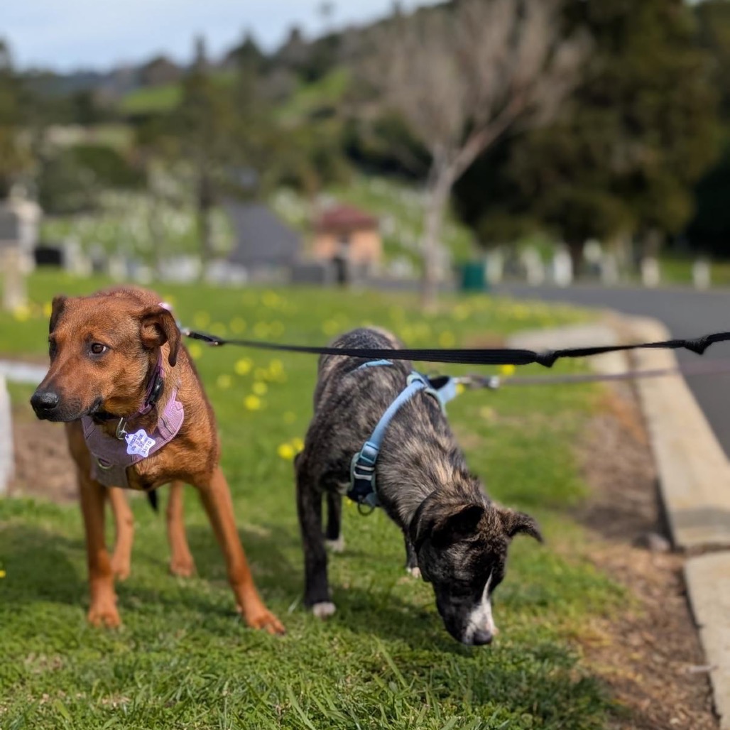 Regina — thumbnail 5