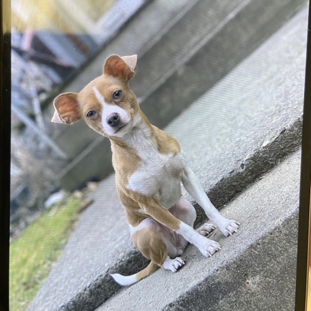 Photo of Addie