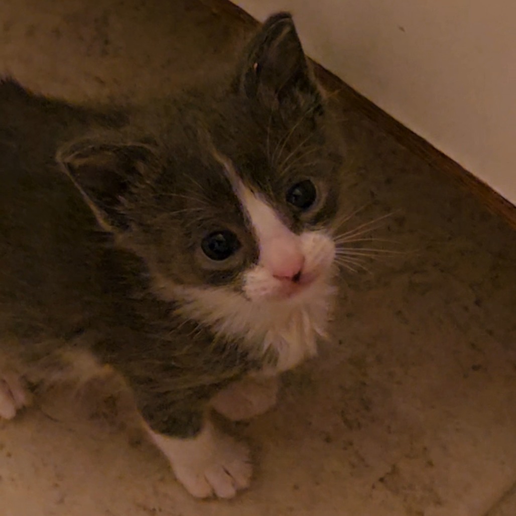 Zeus picture #6