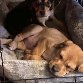 Holly — thumbnail 5