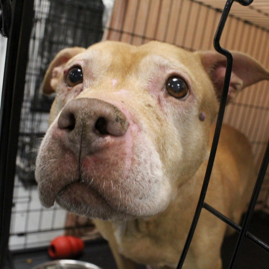 Sandy — thumbnail 3