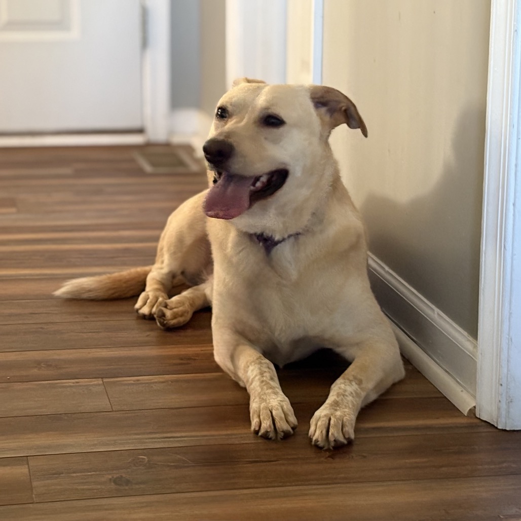 Butter, photo 28