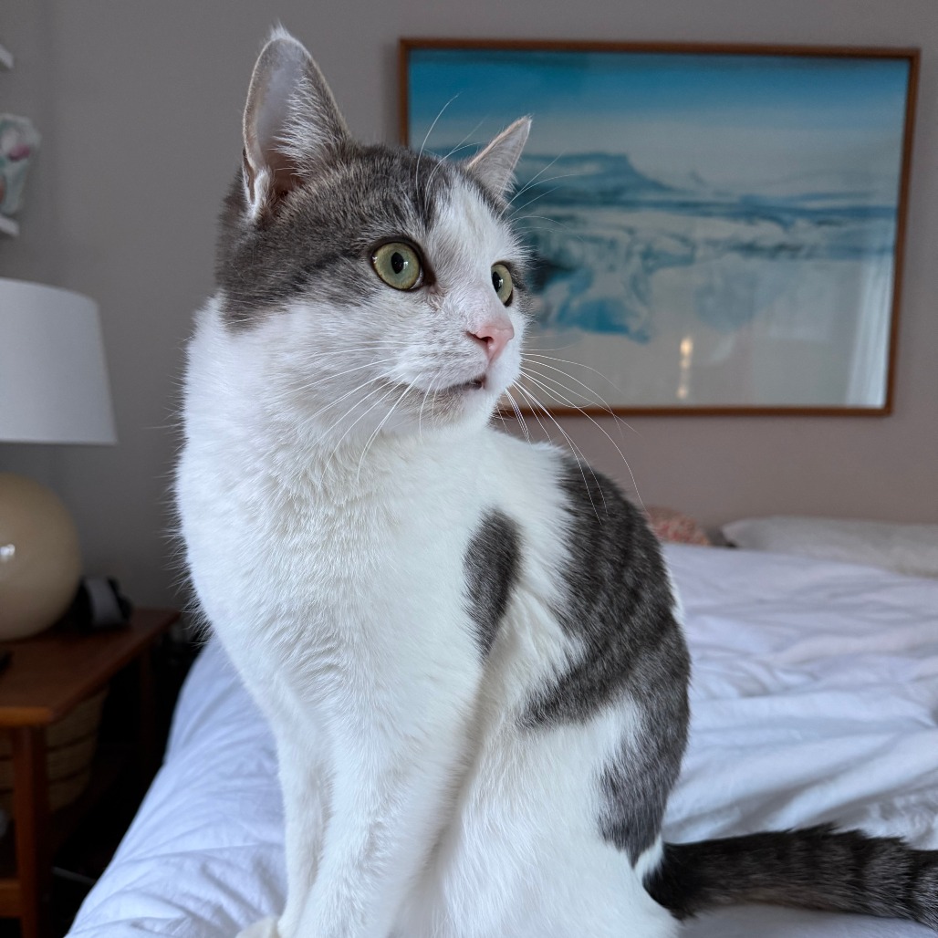 Gregory — thumbnail 3