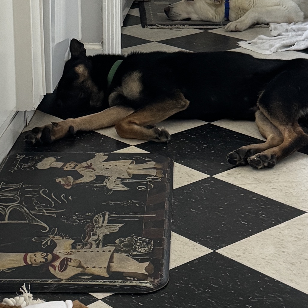 Rocky (Ratchet), photo 3