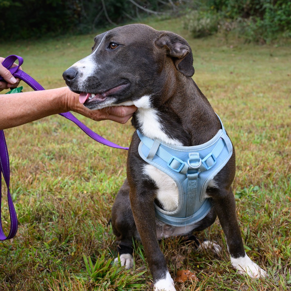 Ruthie, photo 12