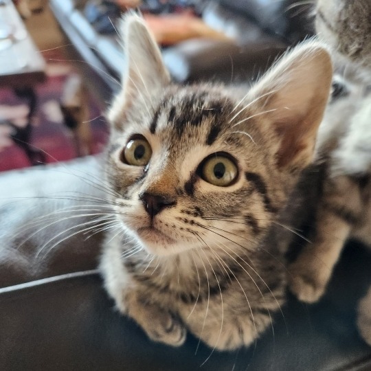 Winona — thumbnail 2