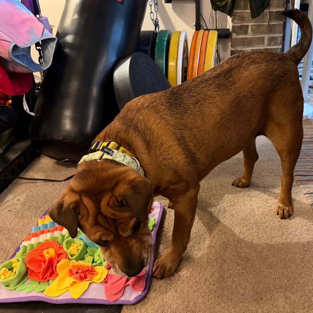 Zoey, photo 38