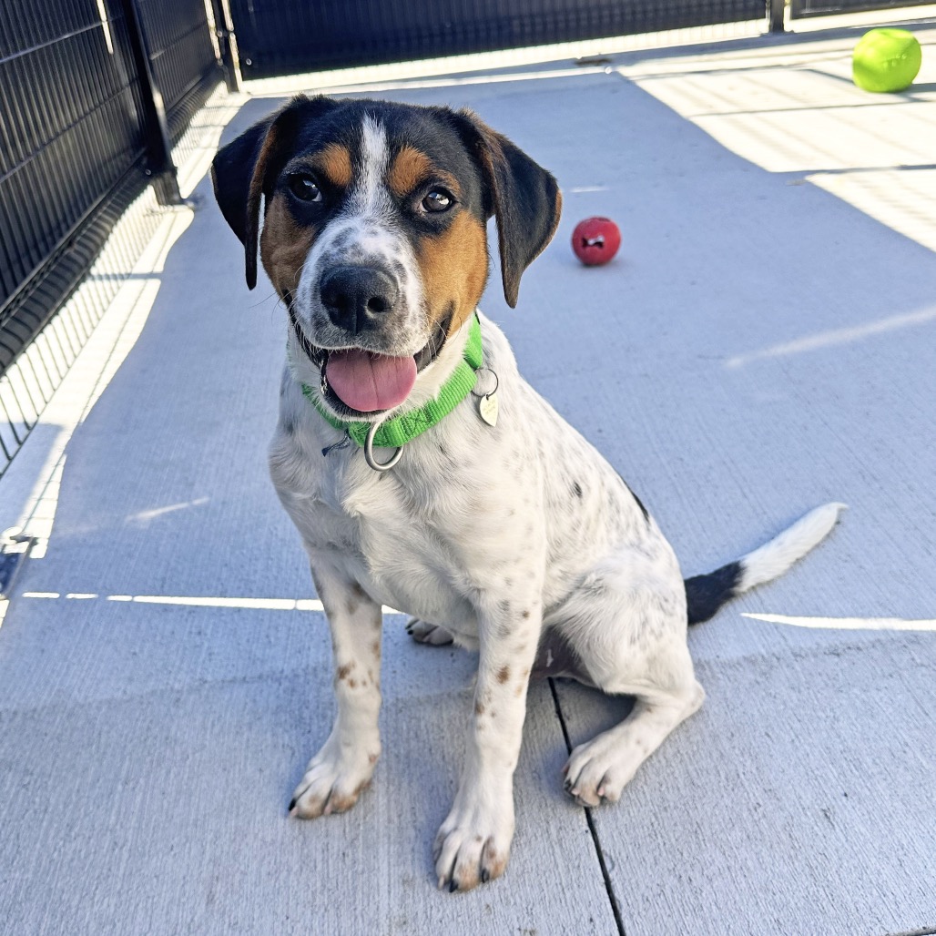 Milo