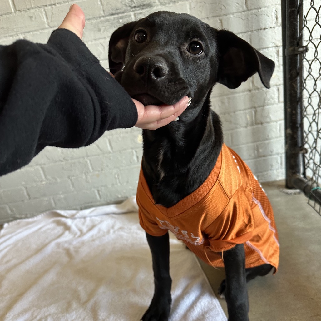 James Rush — thumbnail 10