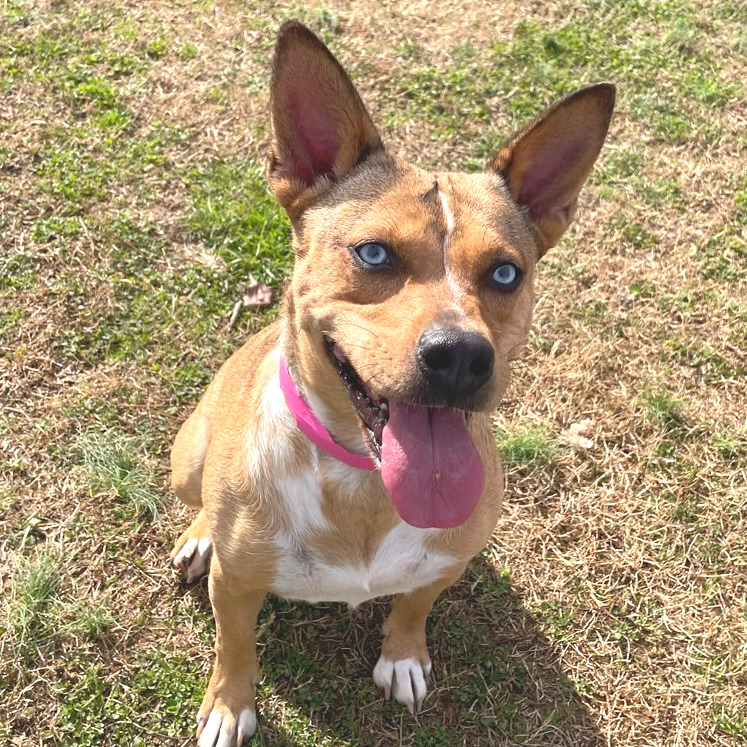 Persephone — thumbnail 7