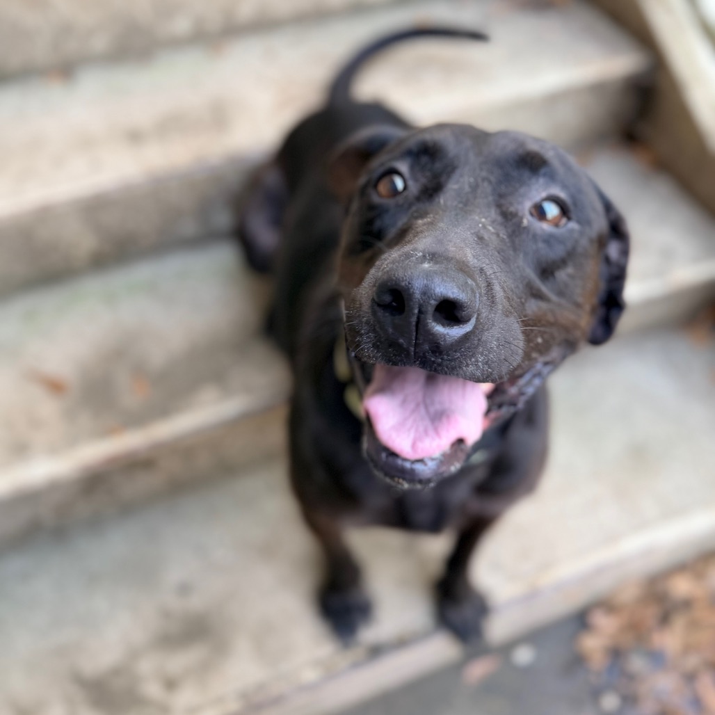 Delilah, photo 3