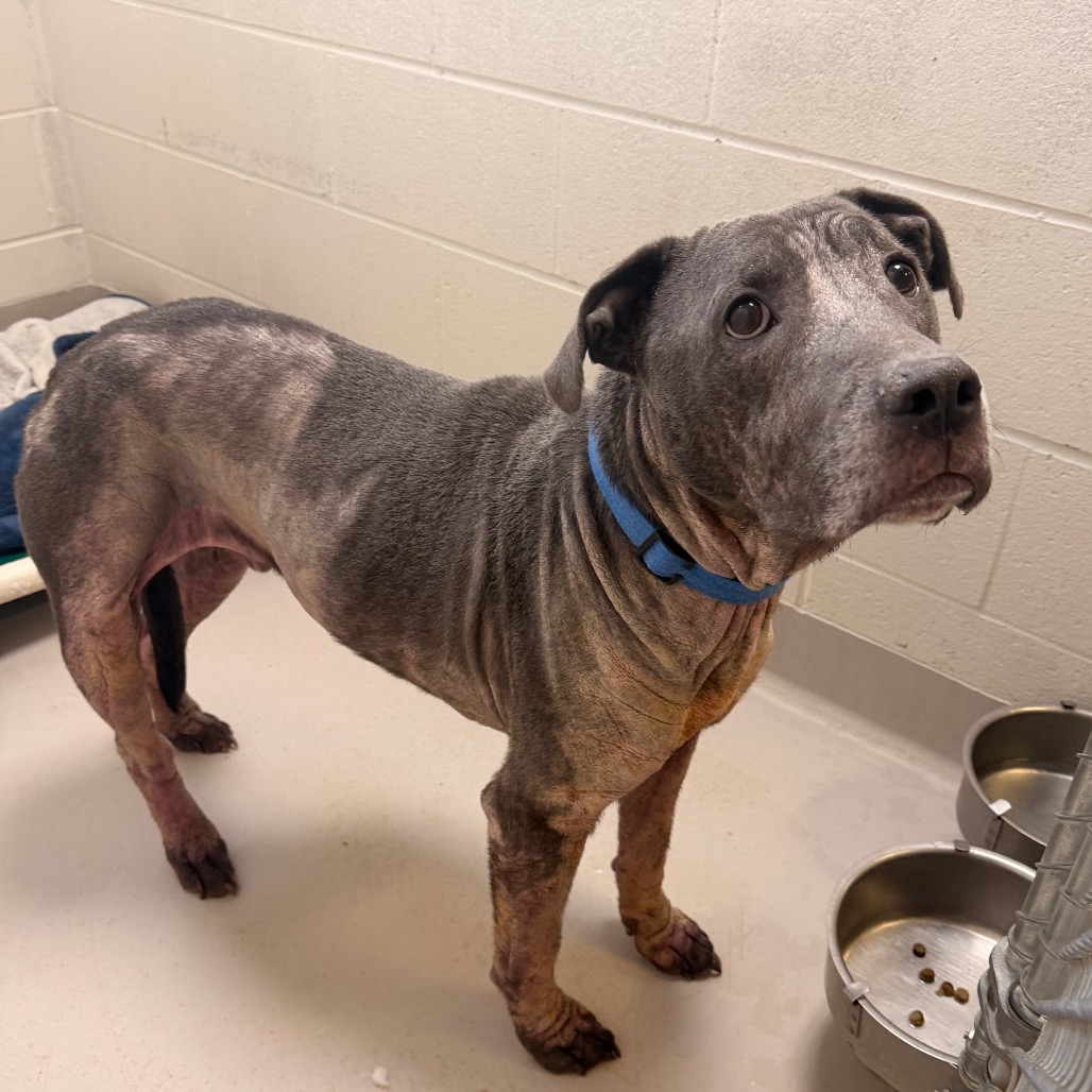 Dior — thumbnail 4