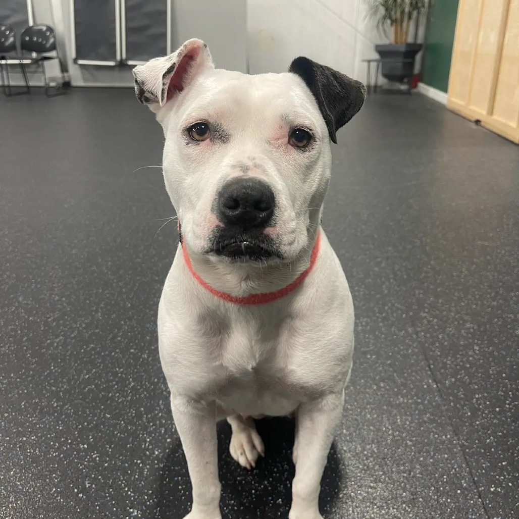 Flaca — thumbnail 10