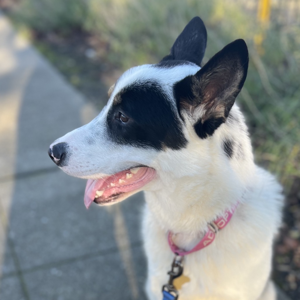 FREYA, photo 8