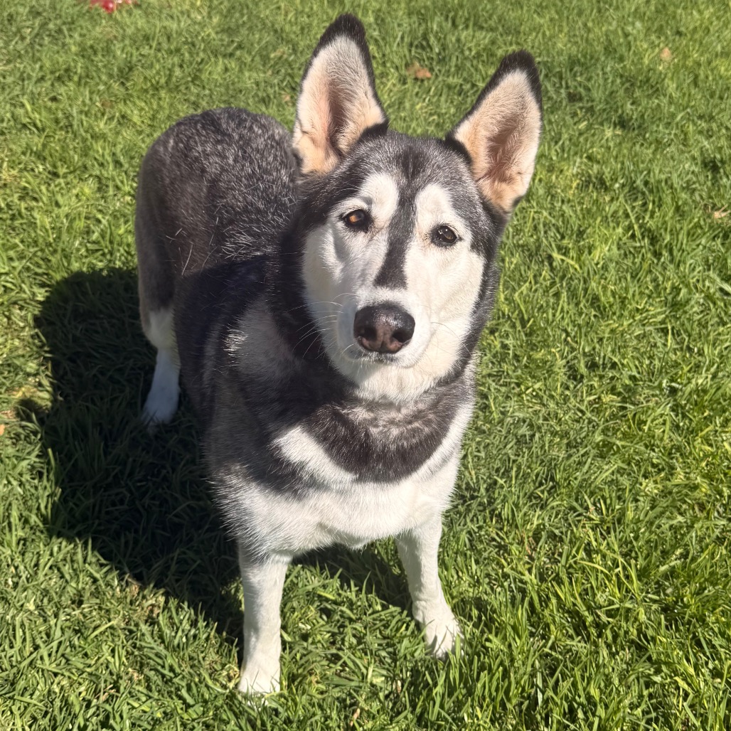 Tundra, photo 5