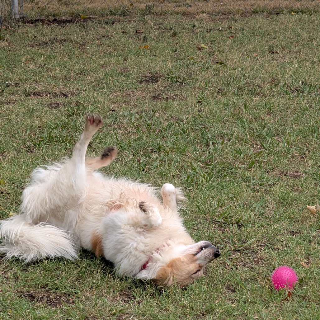 Sandy photo 34