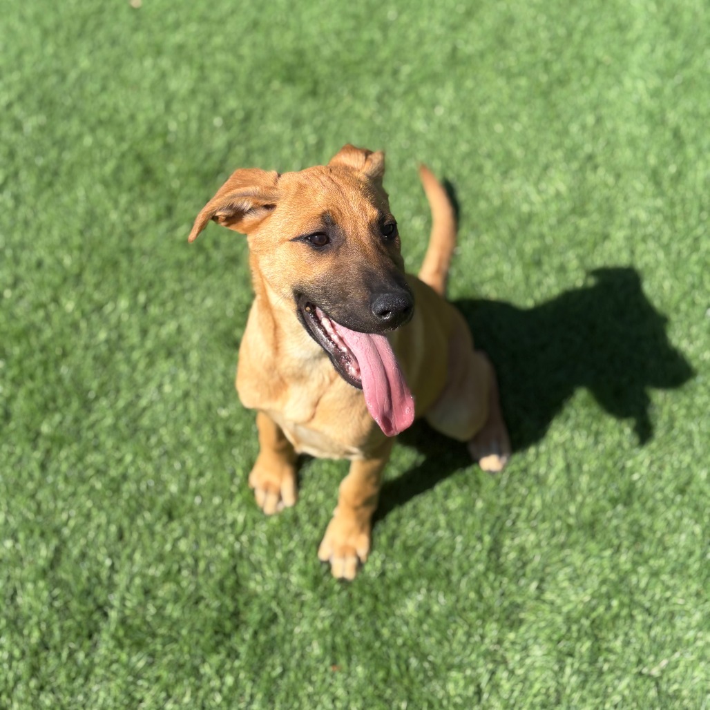 Thing 1 — thumbnail 5