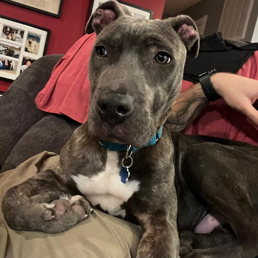 Cucumber — thumbnail 2