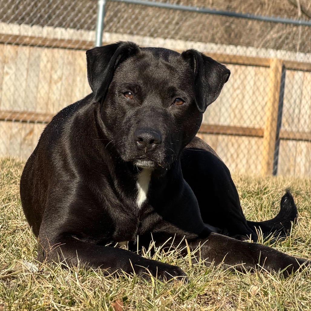 Seraphina — thumbnail 5