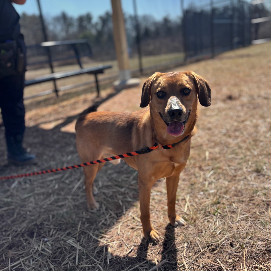 0c4cfcdde10c6edb5f597fc23263be3c