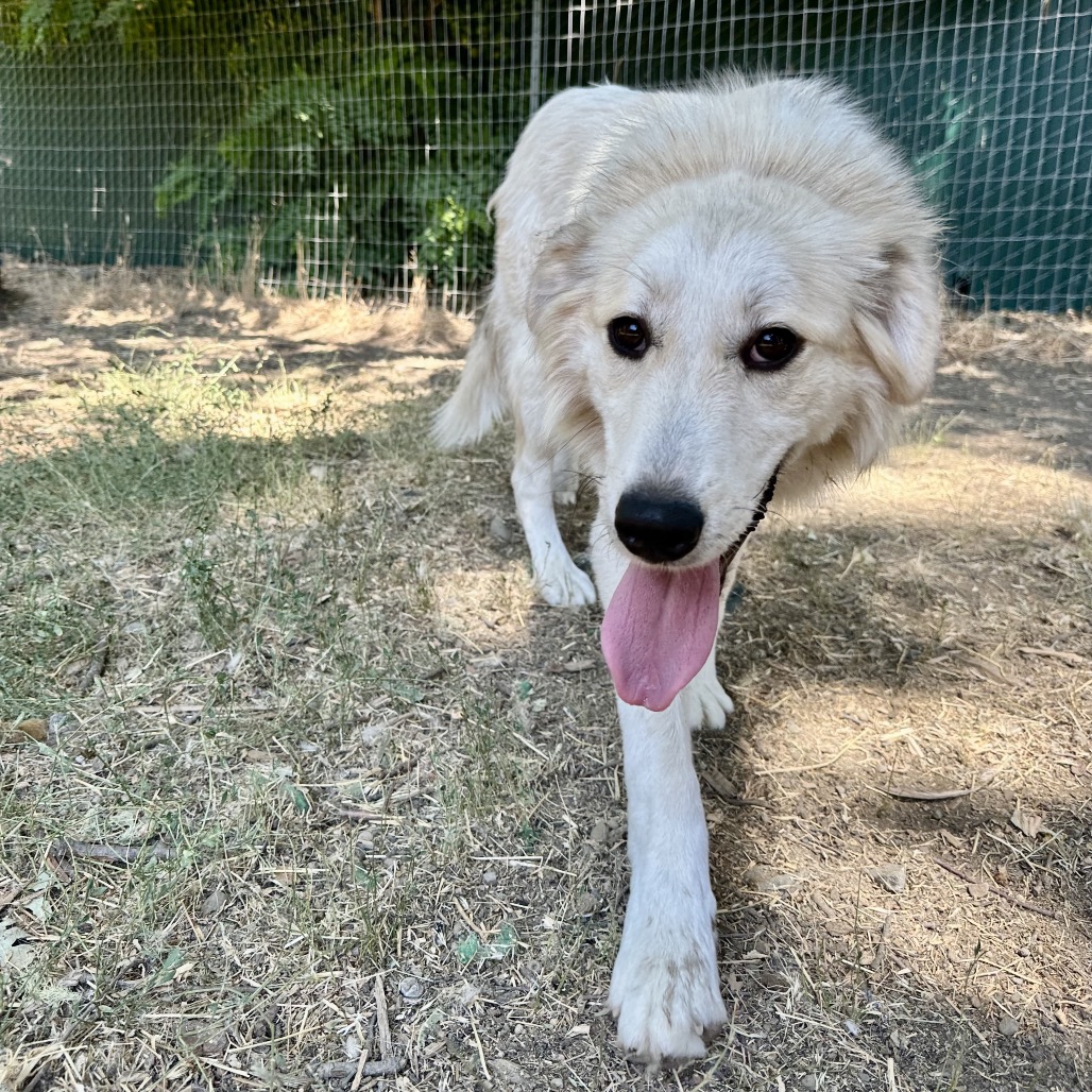 SOPHIE, photo 5