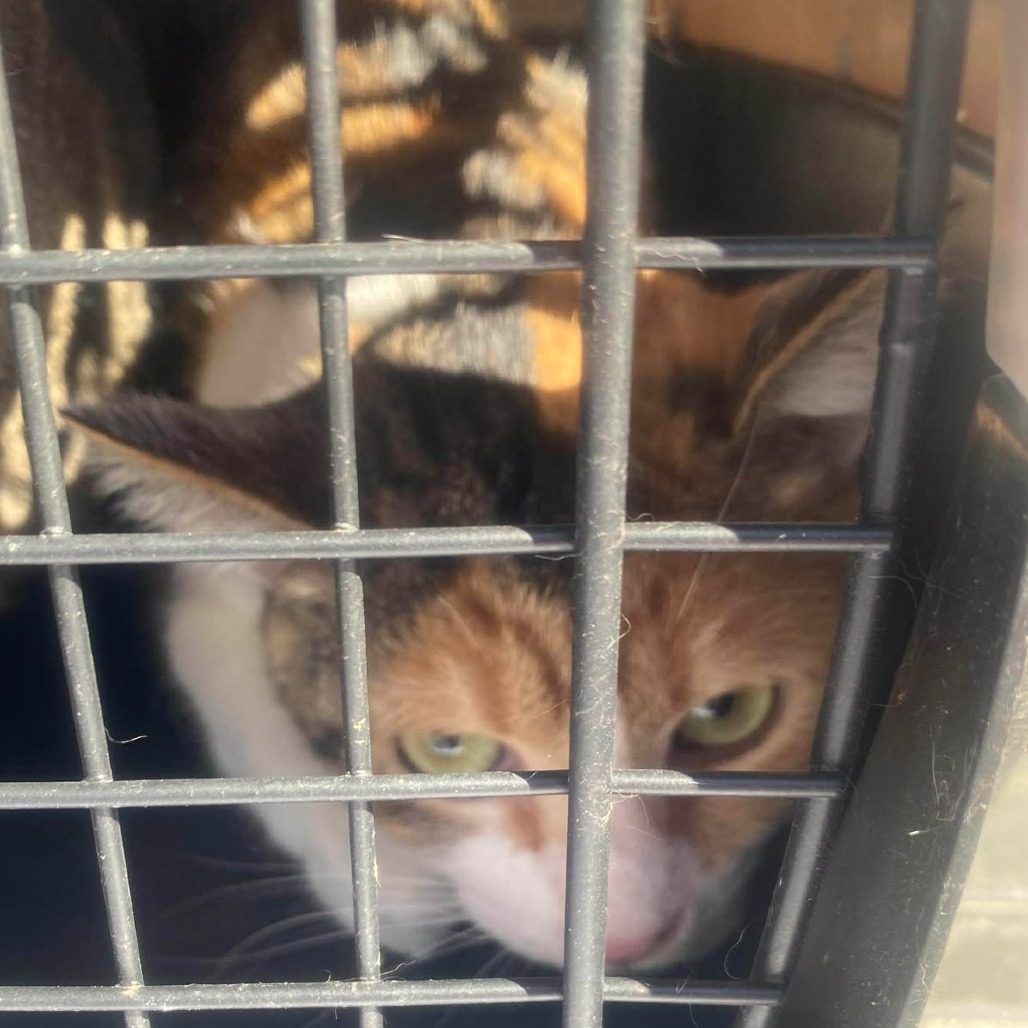 California — thumbnail 2