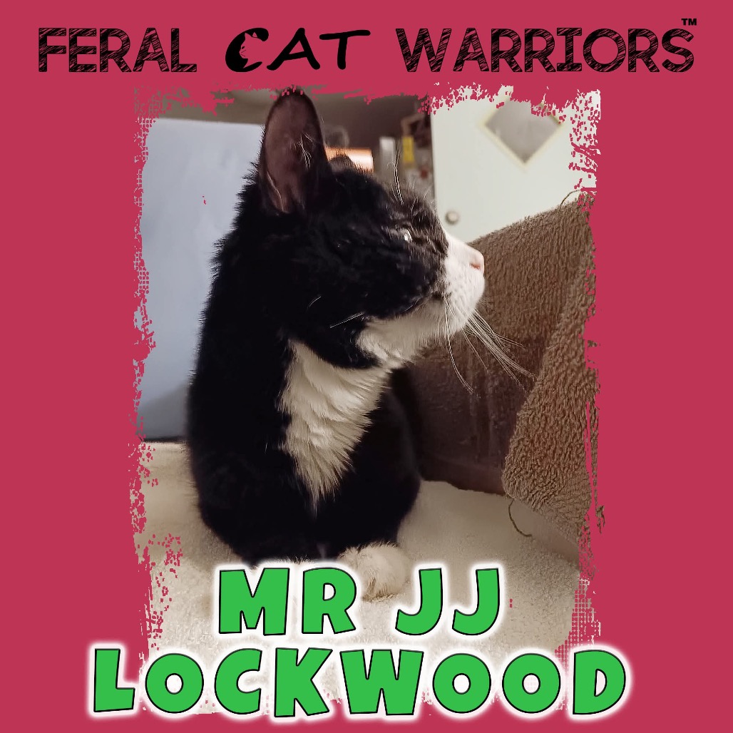Mr. J.J. Lockwood