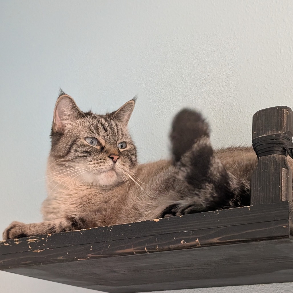 Yogi photo 7