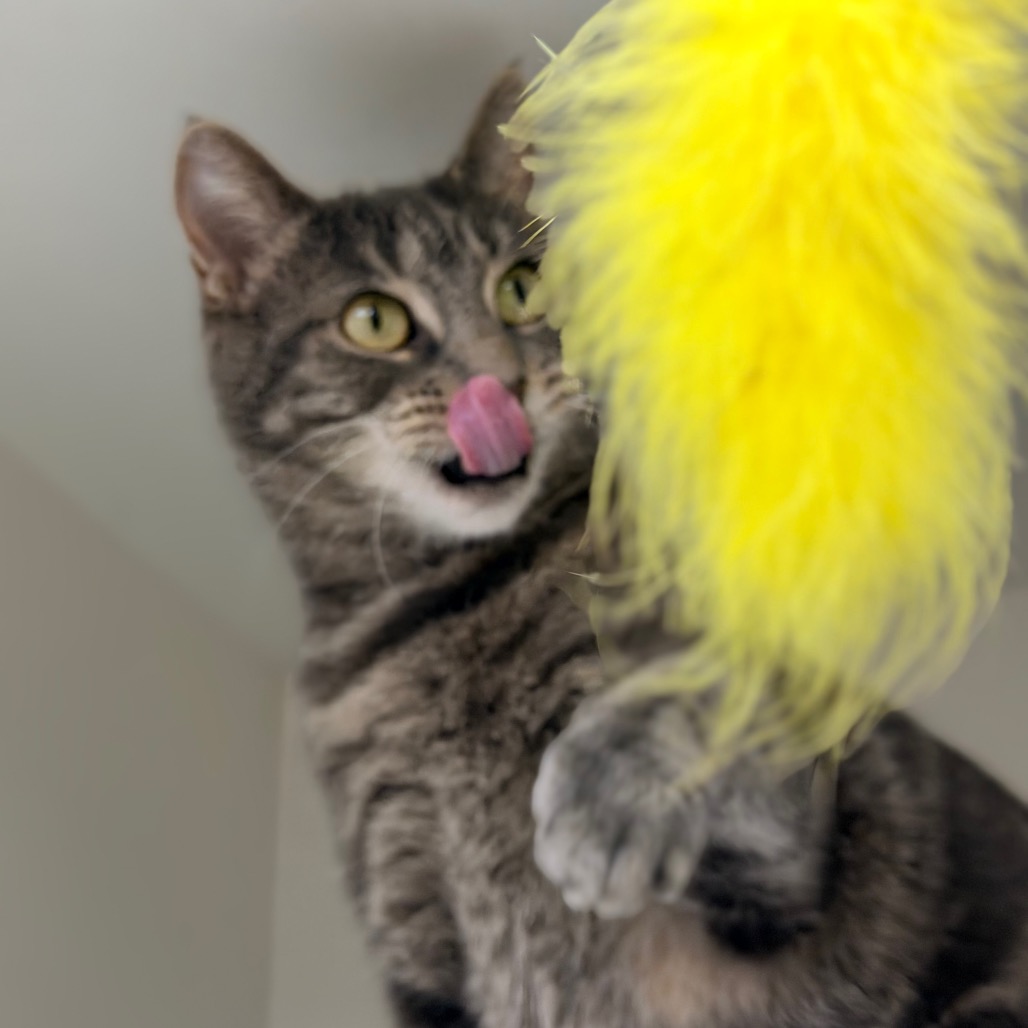 Philomena Cunk — thumbnail 2