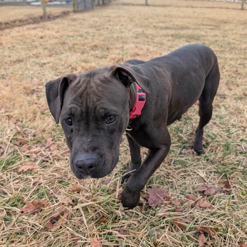 Mary Alice — thumbnail 3