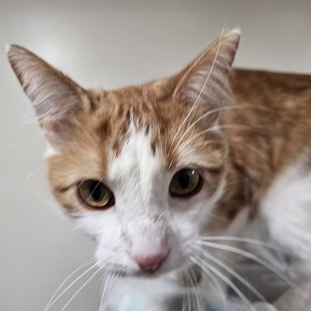 Feeny — thumbnail 3