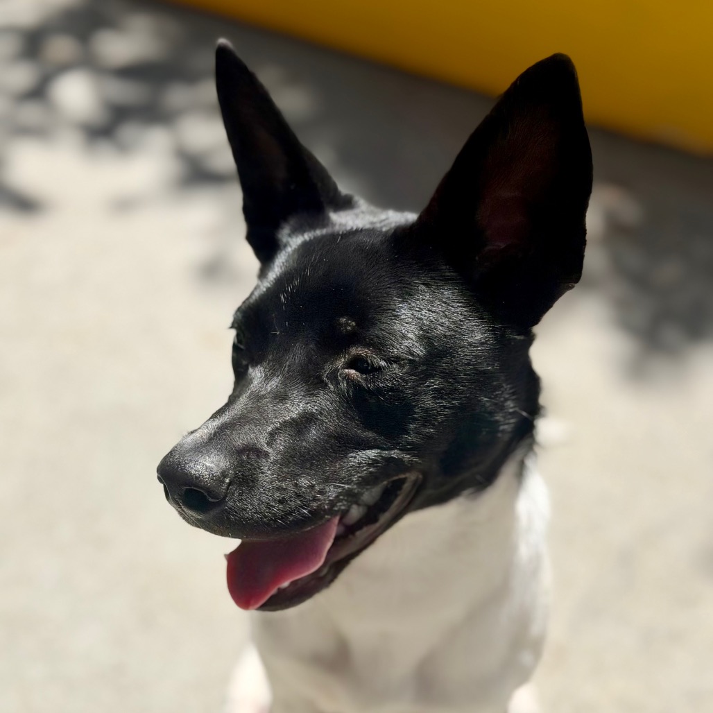 ZEUS, photo 2