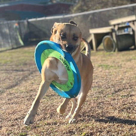 May May — thumbnail 3