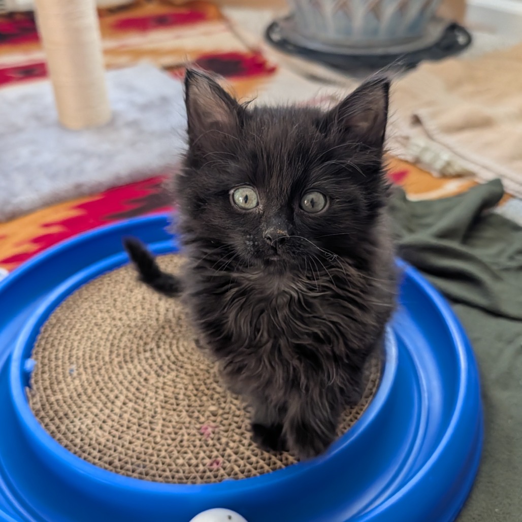 Brooklyn — thumbnail 3