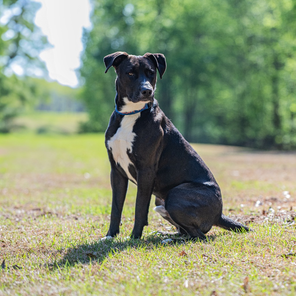 Rambo, photo 20