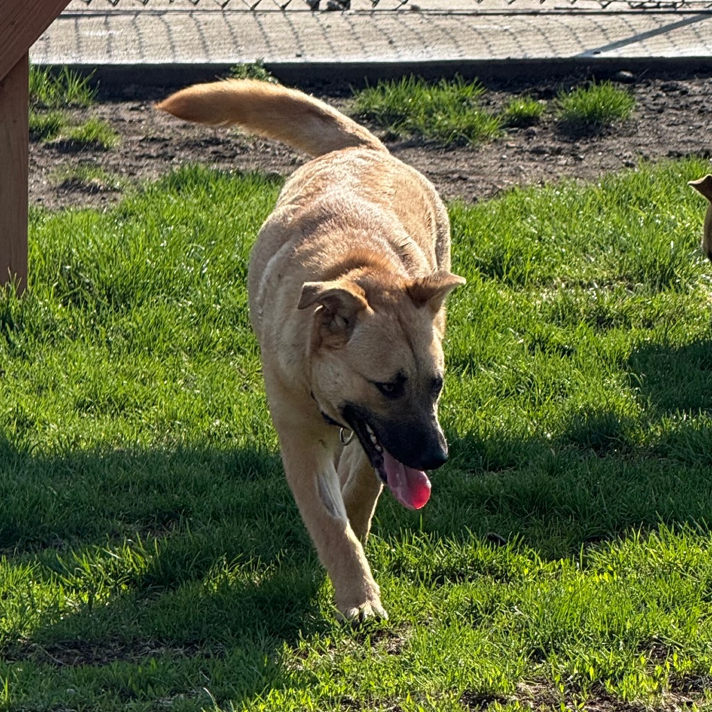 Mocha, photo 9