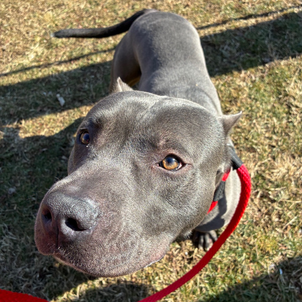 Oodle — thumbnail 5